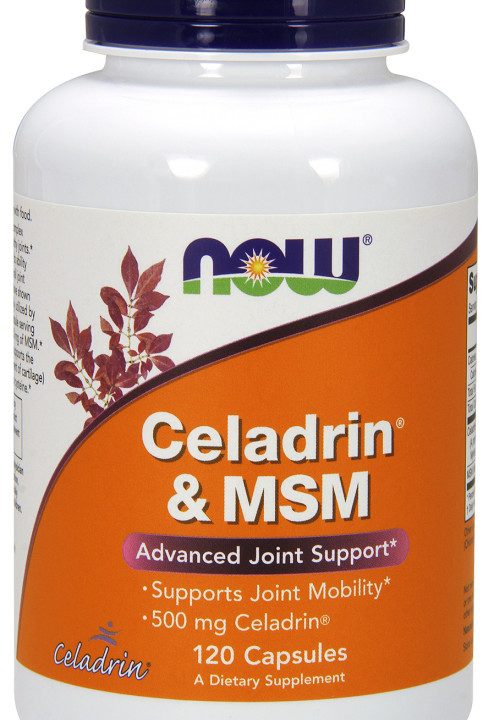 Celadrin & MSM, 500mg - 120 caps