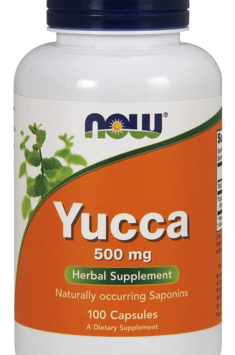 Yucca, 500mg - 100 capsules