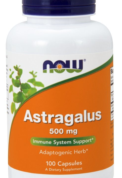 Astragalus, 500mg - 100 caps
