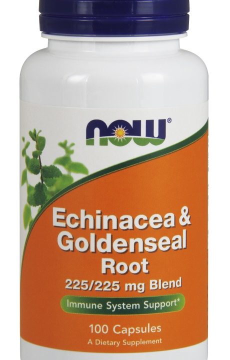 Echinacea & Goldenseal Root - 100 caps
