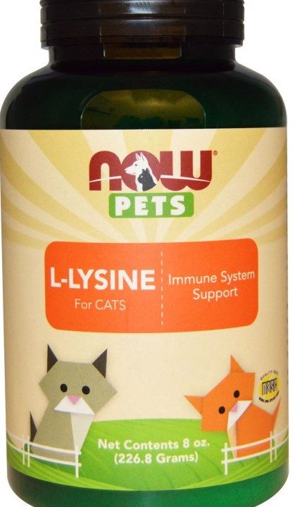 Pets, L-Lysine for Cats - 226.8 grams