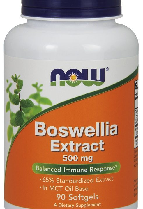 Boswellia Extract, 500mg - 90 softgels