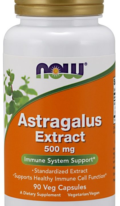 Astragalus Extract, 500mg - 90 vcaps