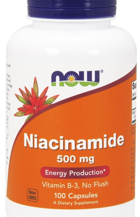 Niacinamide, 500mg - 100 caps