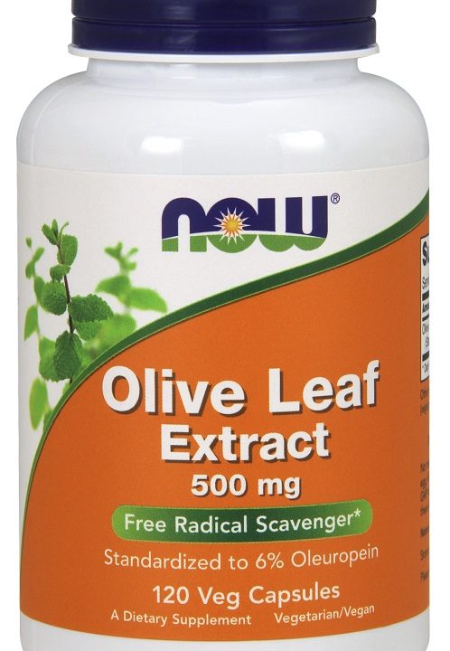 Olive Leaf Extract, 500mg - 120 vcaps