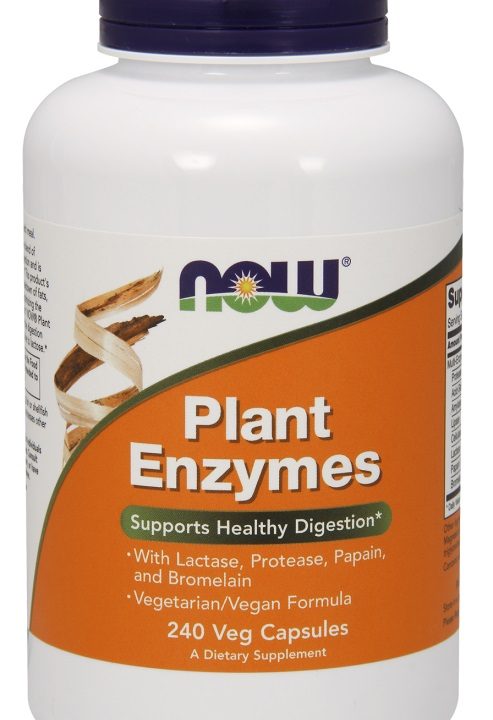 Plant Enzymes - 240 vcaps