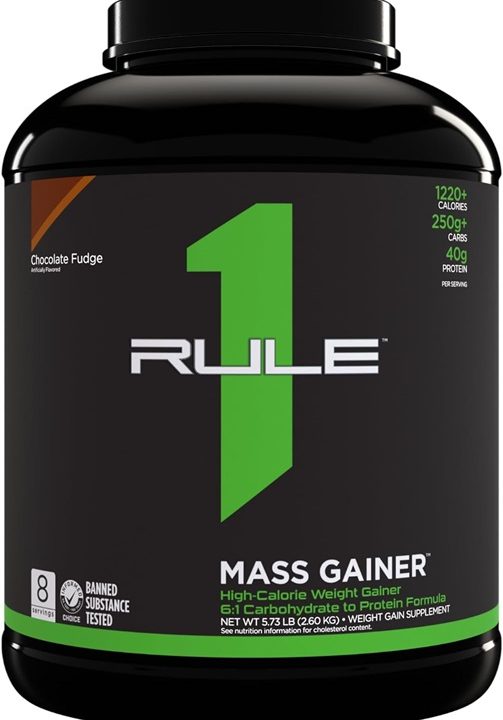 Mass Gainer, Chocolate Fudge - 2600 grams