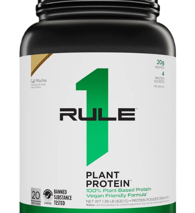 Plant Protein, Cafe Mocha - 630 grams