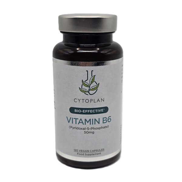 Vitamin B6 - 120 vcaps