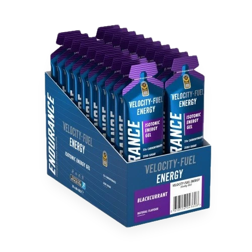 Endurance Energy Isotonic Energy Gel, Blackcurrant - 20 x 60g