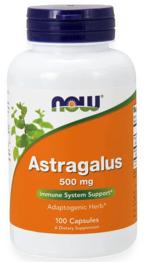 Astragalus, 500mg - 100 caps