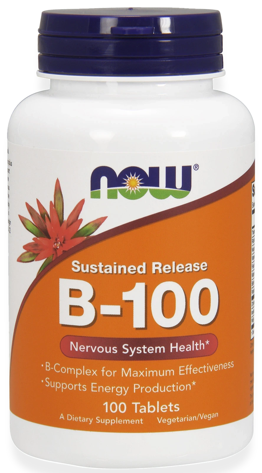 Vitamin B-100 Sustained Release - 100 tablets