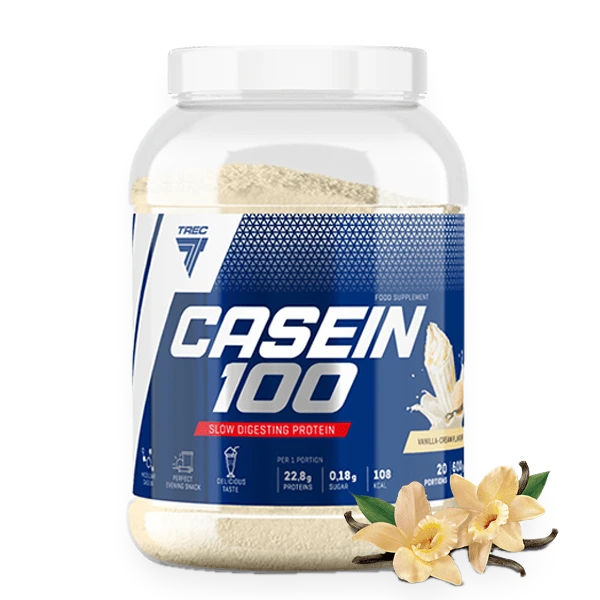 Casein 100, Vanilla - 600 grams
