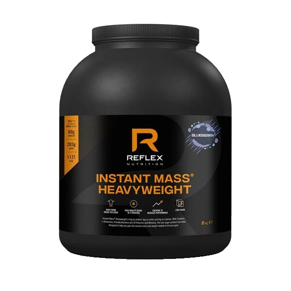 Instant Mass Heavyweight, Blueberry - 2000 grams